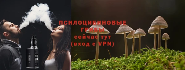 прущие крисы Осинники
