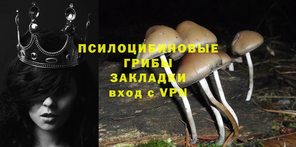 прущие крисы Осинники