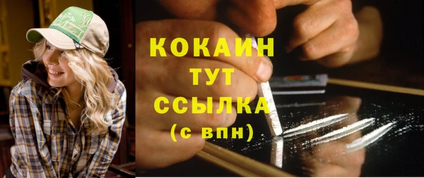 дживик Арсеньев