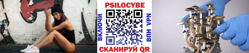 Псилоцибиновые грибы ЛСД mega ONION Краснотурьинск