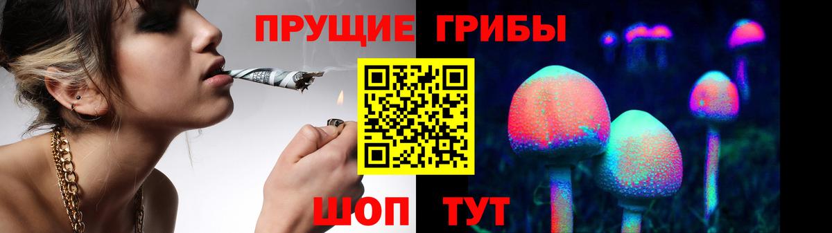 Галлюциногенные грибы Psilocybine cubensis Краснотурьинск